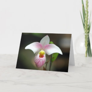 Wit/roze Orchidee Wenskaart Kaart