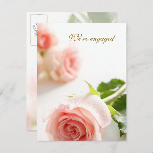 Wit roze roos verlovingsaankondiging aankondigingskaart (Voorkant / Achterkant)