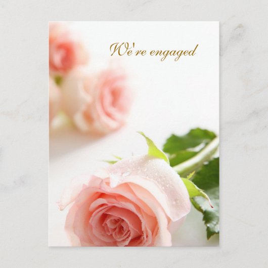 Wit roze roos verlovingsaankondiging aankondigingskaart (Voorkant)