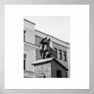 Wit-Rusland Б е de rest а de rest л de  geeft het  Poster