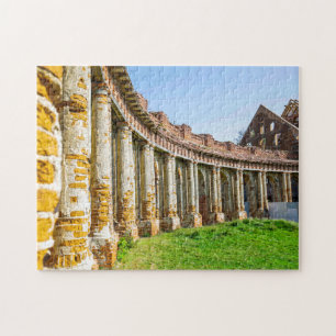 Wit-Rusland Б л р с Ruzhany Palace Ruins Architect Legpuzzel