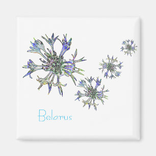 Wit-Rusland Б л р у Nationale Corn Flower Magnet