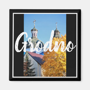 Wit-Rusland Grodno Architectuur Landschapsmagneet Magneet