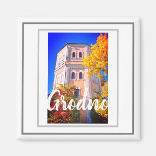 Wit-Rusland Grodno Architectuur Landschapsmagneet Magneet