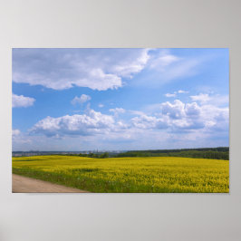 Wit-Rusland Grodno Canola Fields Flowers Poster