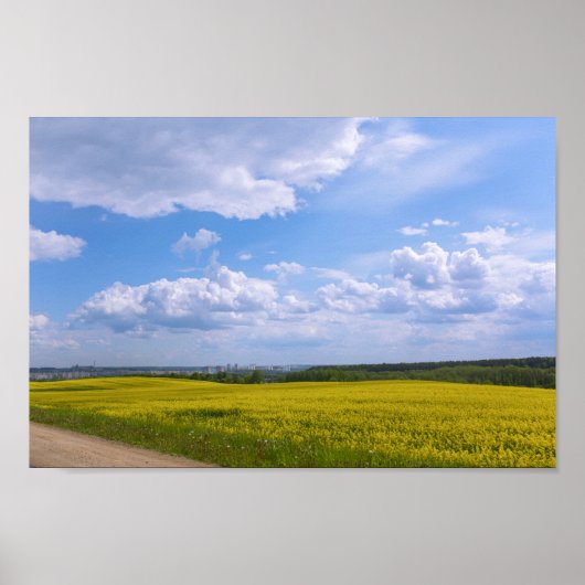 Wit-Rusland Grodno Canola Fields Flowers Poster (Voorkant)