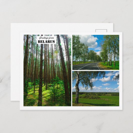 Wit-Rusland Natuur Forest Scenery Briefkaart (Voorkant / Achterkant)