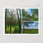 Wit-Rusland Natuur Forest Scenery Briefkaart (Voorkant)