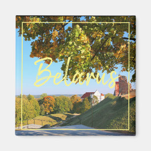 Wit-Rusland Navahrudak Kasteel Architectuur Magnee Magneet