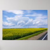 Wit-Rusland Road Canola Fields Flowers Sky Poster (Voorkant)