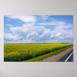 Wit-Rusland Road Canola Fields Flowers Sky Poster