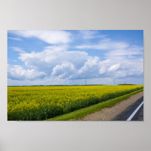 Wit-Rusland Road Canola Fields Flowers Sky Poster
