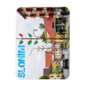 Wit-Rusland Slonim City Town Uitzicht Architecture Magneet (Verticaal)