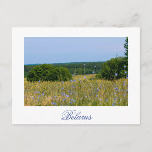Wit-Russisch landschapslandschap Briefkaart