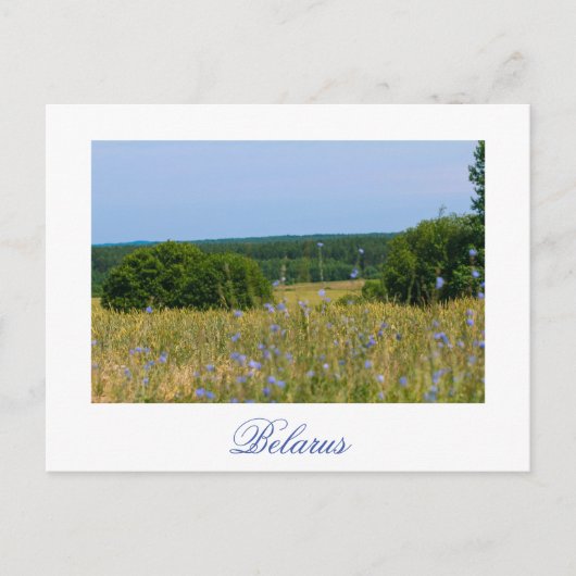 Wit-Russisch landschapslandschap Briefkaart (Voorkant)