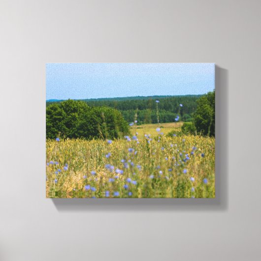 Wit-Russisch landschapslandschap Natuur Platteland Canvas Afdruk (Voorkant)