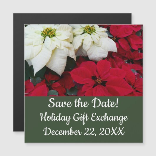 Wit-Russische en Rode Poinsettias II Kerstfeestdag (Voorkant / Achterkant)
