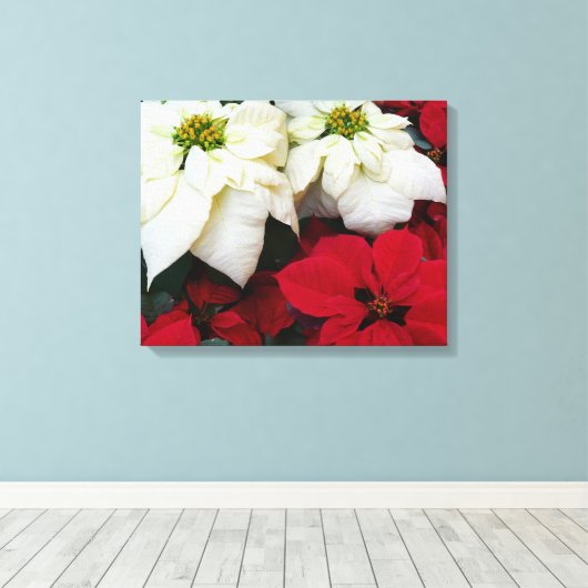 Wit-Russische en Rode Poinsettias II Kerstfeestdag Canvas Afdruk (Insitu (Houten vloer))