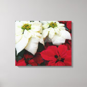 Wit-Russische en Rode Poinsettias II Kerstfeestdag Canvas Afdruk (Voorkant)