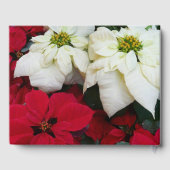 Wit-Russische en Rode Poinsettias II Kerstfeestdag Gastenboek (Achterkant)