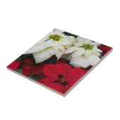 Wit-Russische en Rode Poinsettias II Kerstfeestdag Tegeltje (Zijkant)