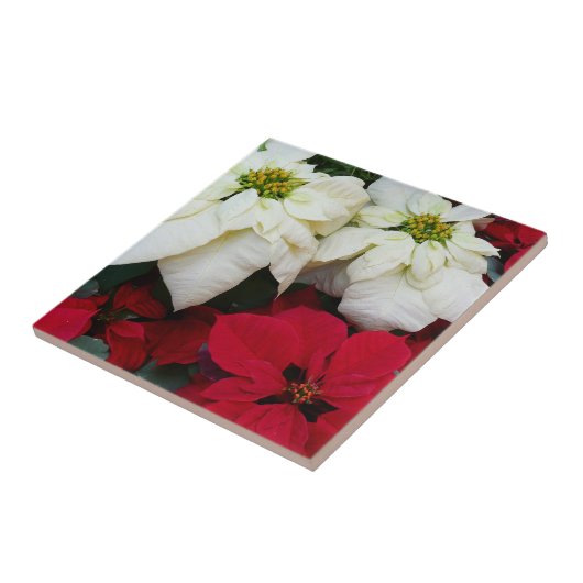 Wit-Russische en Rode Poinsettias II Kerstfeestdag Tegeltje (Zijkant)