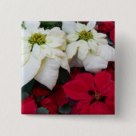 Wit-Russische en Rode Poinsettias II Kerstfeestdag Vierkante Button 5,1 Cm (Voorkant)