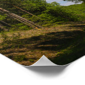 Wit-Russische Natuur voor landschappelijk landscha Poster (Hoek)