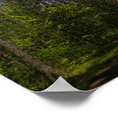 Wit-Russische Natuur voor landschappelijk landscha Poster (Hoek)