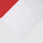 Wit-Russische vlag (rood en wit) Tissuepapier (Detail)