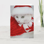 wit Santa Kat Feestdagen Kaart (Voorkant)