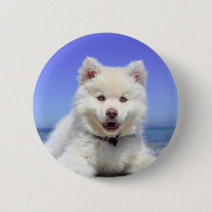 Wit Schor Puppy met Blauwe Ogen Ronde Button 5,7 Cm