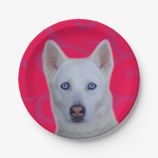 Wit Siberisch Husky Papier Bord (Voorkant)