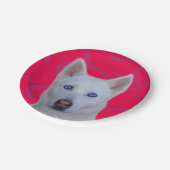 Wit Siberisch Husky Papier Bord (Gekanteld)