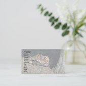 Wit-staartbruin, met een ligplaats per boom visitekaartje (Staand voorkant)