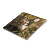 Wit-tapedrive keramische foto's tegeltje (Zijkant)