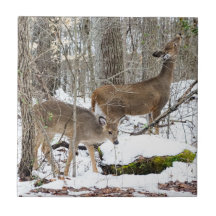 Wit-tapedrive keramische foto's