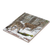 Wit-tapedrive keramische foto's tegeltje (Zijkant)