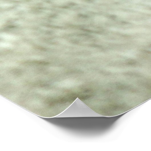 WIT TIGER-GEZICHT POSTER (Hoek)