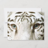 WIT TIGER'S OGEN INVITATIE ~ EZ OM AAN TE PASSEN! KAART (Voorkant)