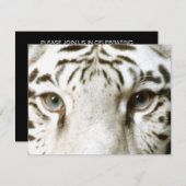 WIT TIGER'S OGEN INVITATIE ~ EZ OM AAN TE PASSEN! KAART (Voorkant / Achterkant)