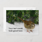 Wit-troebel Briefkaart (Voorkant / Achterkant)