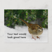 Wit-troebel Briefkaart (Voorkant)