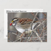 Wit-troebel Briefkaart (Voorkant / Achterkant)