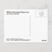 Wit-troebel Briefkaart (Achterkant)