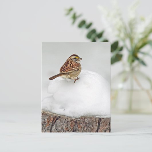 Wit-troebel Briefkaart (Staand voorkant)