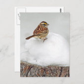 Wit-troebel Briefkaart (Voorkant / Achterkant)