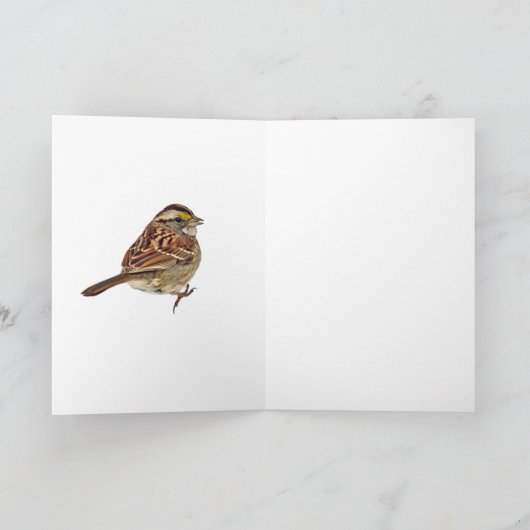 Wit-troebel Kaart (Binnen)