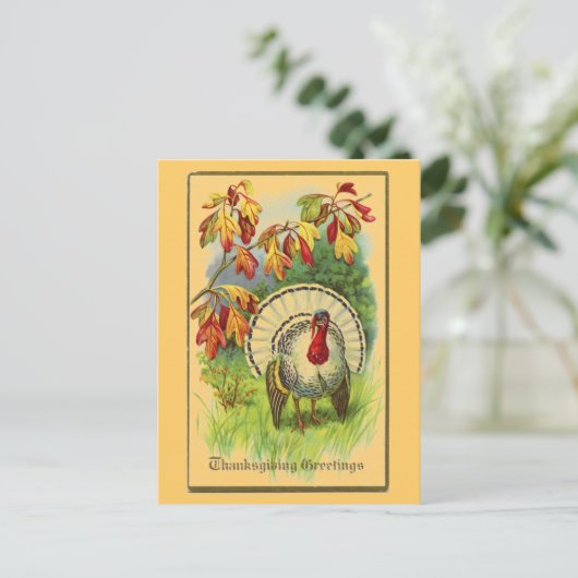  Wit Turkije Briefkaart (Staand voorkant)