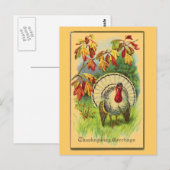  Wit Turkije Briefkaart (Voorkant / Achterkant)